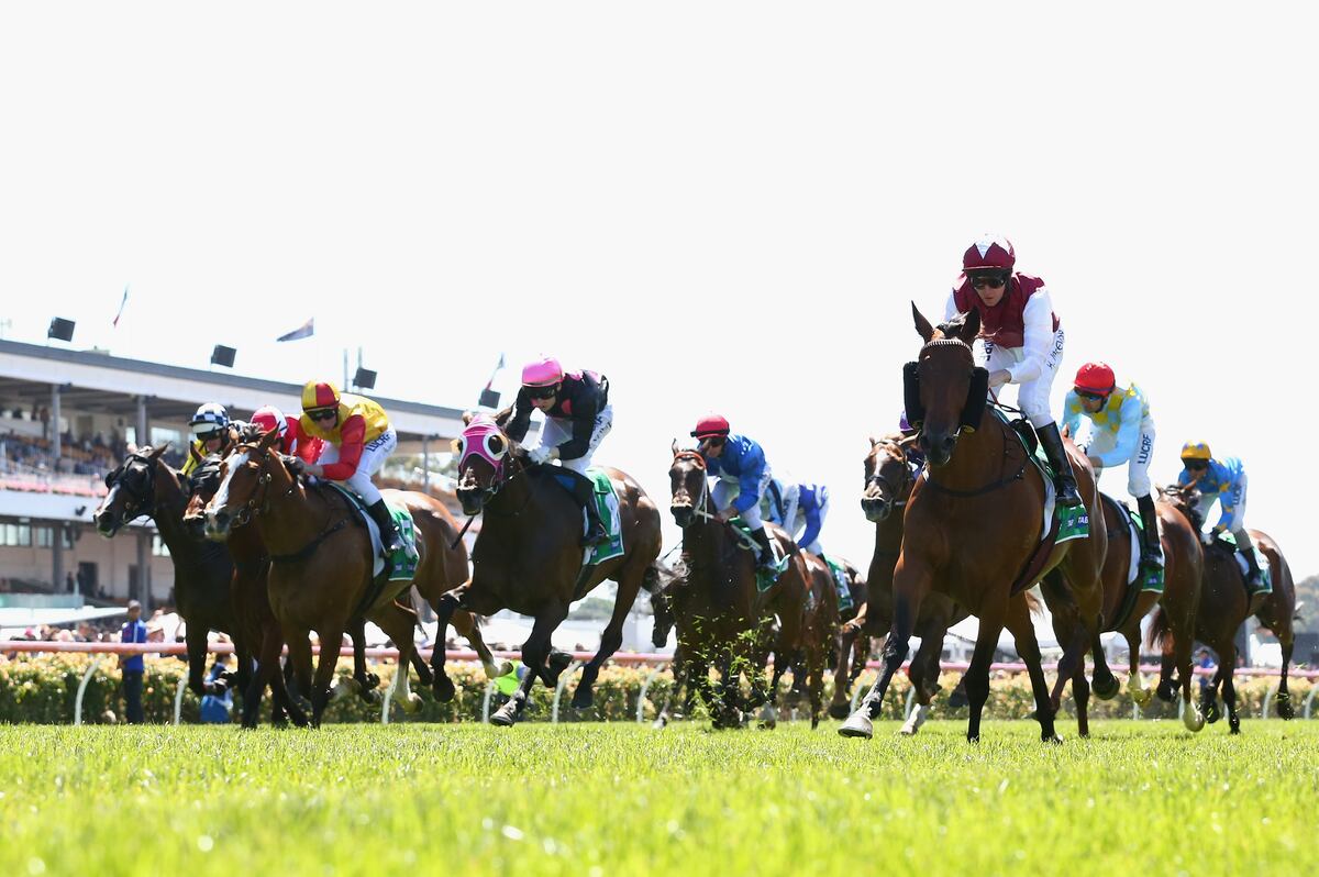 melbourne-cup-2013-results-updates-on-winner-placings-and-payouts