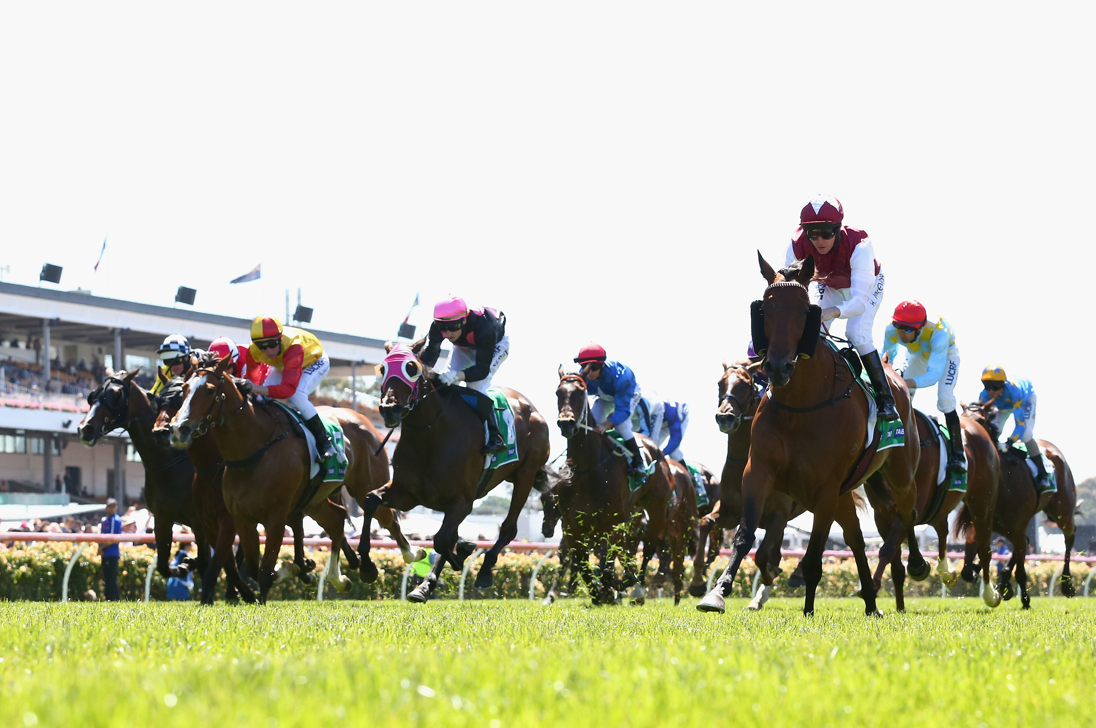Melbourne Cup 2013 Results Updates On Winner Placings And Payouts Melbourne Cup 2013 Results Updates On Winner Placings And Payouts