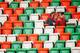 Two fans amidst a sea of empty seats during free practice before the 2013 Indian Grand Prix.