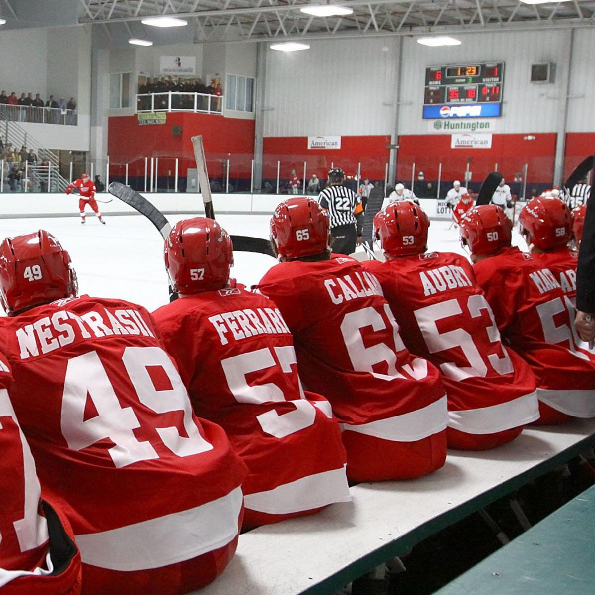 Latest Updates On Detroit Red Wings' Top Prospects | Bleacher Report ...