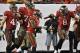 TAMPA, FL - NOVEMBER 11: Running back Bobby Rainey #43 of the Tampa Bay Buccaneers celebrates after a touchdown run with quarterback Mike Glennon #8 against the Miami Dolphins November 11, 2013 at Raymond James Stadium in Tampa, Florida. Tampa won 22 - 19. (Photo by Al Messerschmidt/Getty Images)