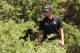 Adam Scott hit two drives into the bushes at the par-four No. 12 on Thursday at the World Cup.
