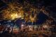 Nov 16, 2013; Auburn, AL, USA; A general view of Toomer's Corner after the game between the Auburn Tigers and the Georgia Bulldogs at Jordan Hare Stadium. The Tigers defeated the Bulldogs 43-38. Mandatory Credit: Shanna Lockwood-USA TODAY Sports