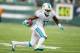 EAST RUTHERFORD, NJ - DECEMBER 01: Mike Wallace