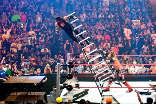 Resultado de imagem para wwe tlc match