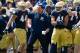 Apr 20, 2013; Notre Dame, IN, USA; Notre Dame Fighting Irish linebacker Carlo Calabrese (44), defensive coordinator Bob Diaco, and safety Matthias Farley (41) celebrate after an interception by Farley in the second quarter of the Blue-Gold Game at Notre Dame Stadium. Mandatory Credit: Matt Cashore-USA TODAY Sports