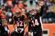 Dec 29, 2013; Cincinnati, OH, USA; Cincinnati Bengals quarterback Andy Dalton (14) celebrates after throwing a pass for a touchdown during the second quarter against the Baltimore Ravens at Paul Brown Stadium. Mandatory Credit: Andrew Weber-USA TODAY Sports