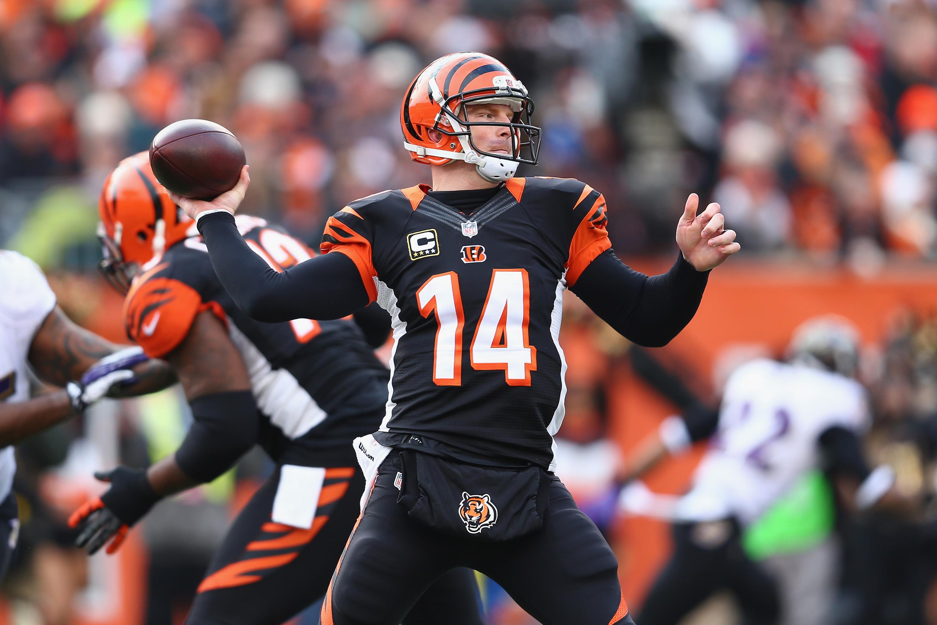 Cincinnati Bengal starting quarterback Andy Dalton watches the