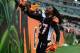 Dec 29, 2013; Cincinnati, OH, USA; Cincinnati Bengals cornerback Dre Kirkpatrick (27) celebrates with fans after defeating the Baltimore Ravens 34-17 at Paul Brown Stadium. Mandatory Credit: Andrew Weber-USA TODAY Sports
