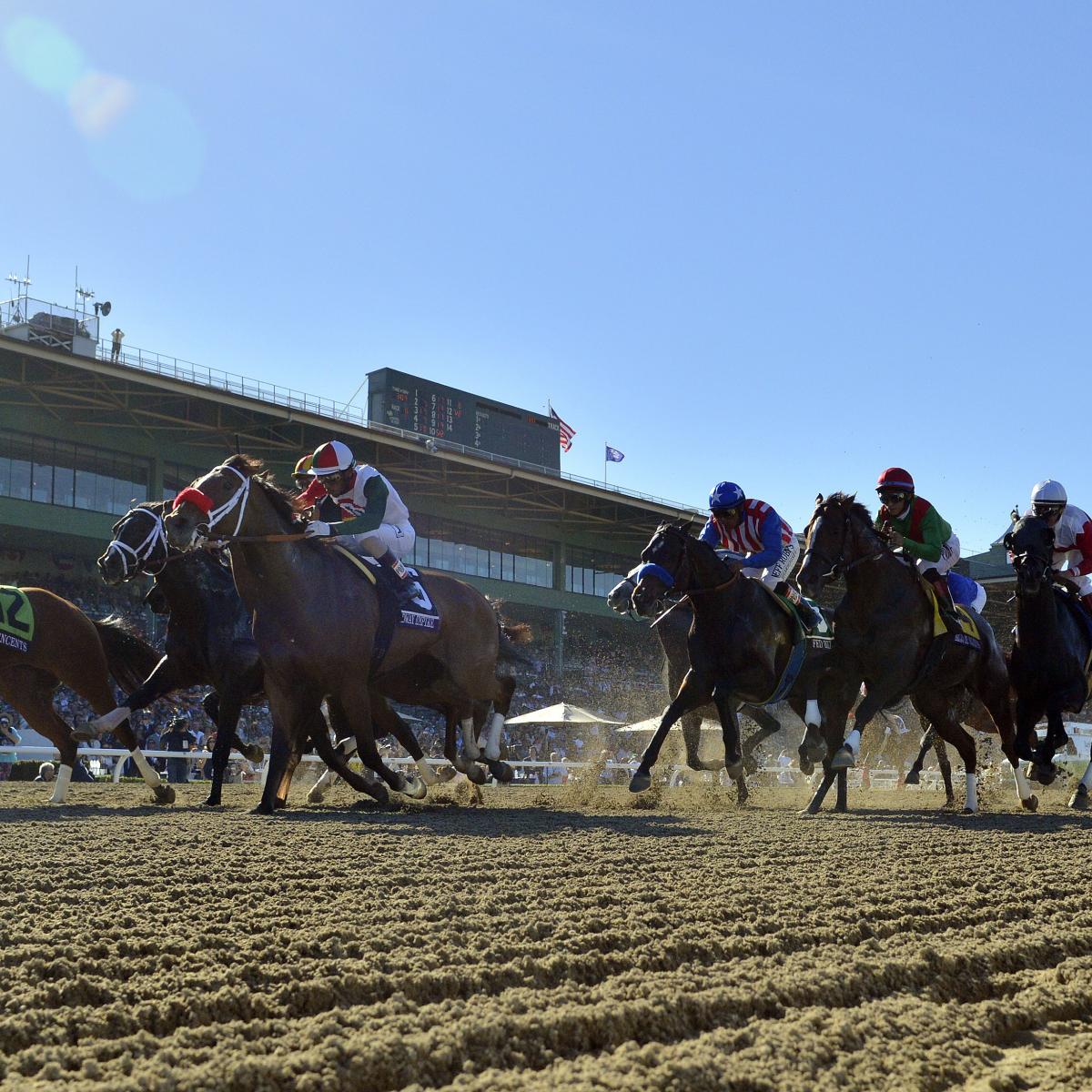 Horse Racing's Most Memorable Performances of 2013 | News, Scores 