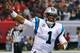 ATLANTA, GA - DECEMBER 29: Cam Newton #1 of the Carolina Panthers celebrates a touchdown against the Atlanta Falcons at Georgia Dome on December 29, 2013 in Atlanta, Georgia. (Photo by Kevin C. Cox/Getty Images)