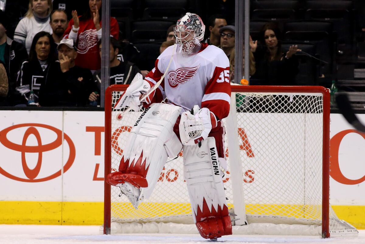 5 Detroit Red Wings Who Must Improve in 2014 News, Scores, Highlights