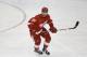 Detroit Red Wings center Riley Sheahan (15) skates during the third period of an NHL hockey game against the Anaheim Ducks in Detroit, Tuesday, Dec. 17, 2013. (AP Photo/Carlos Osorio)