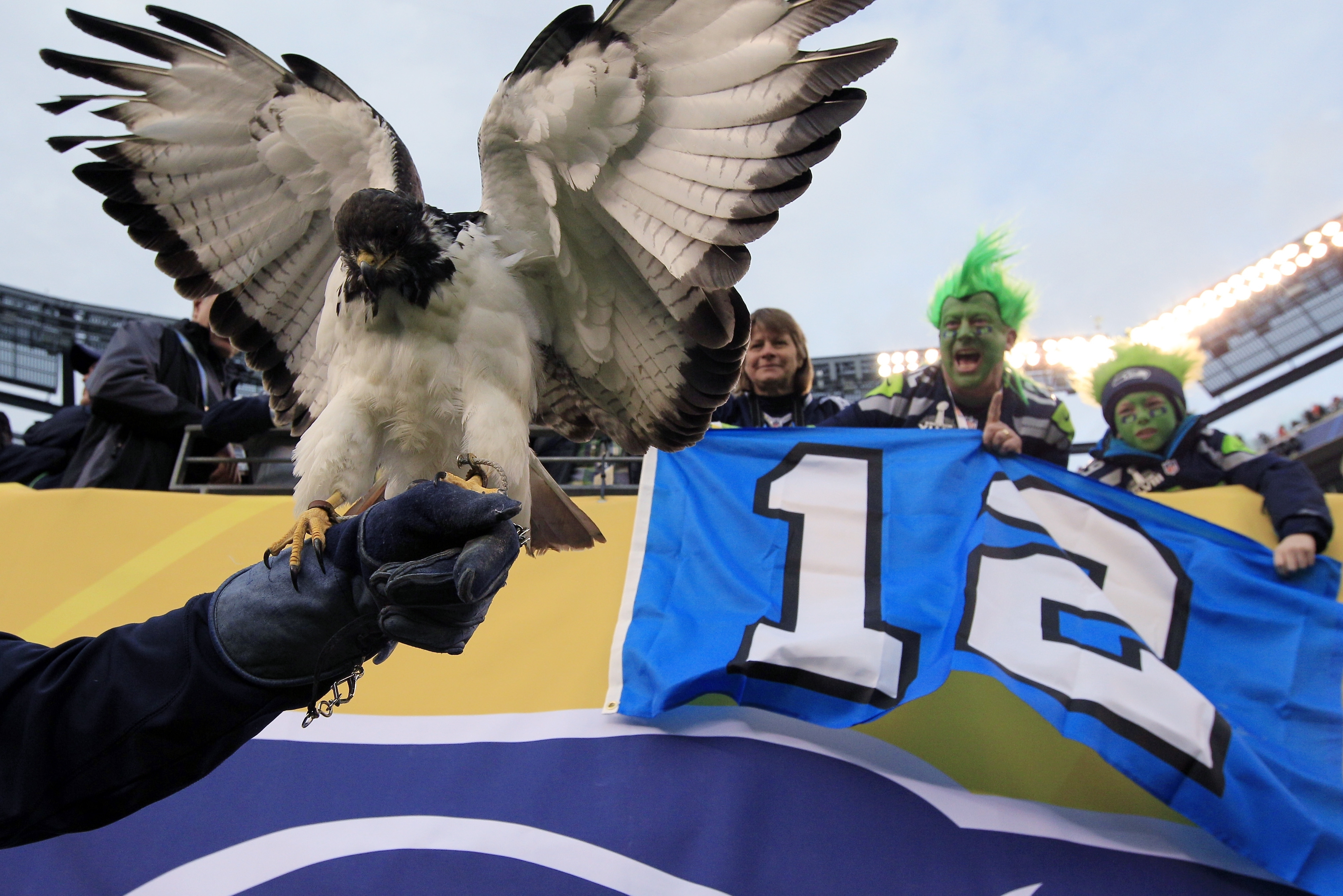 Taima the Hawk visits the Seahawks' new Valley Pro Shop