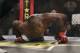 Ronaldo 'Jacare' Souza celebrates a Strikeforce victory.