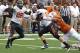 Oklahoma State quarterback Clint Chelf (10) is hit by Texas defensive lineman Jackson Jeffcoat (44) as he flips the ball to running back Desmond Roland (26) during the first quarter of an NCAA college football game Saturday, Nov. 16, 2013, in Austin, Texas. (AP Photo/Michael Thomas)