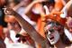 DALLAS, TX - OCTOBER 12: Texas Longhorns fans celebrate after the Longhorns scored against the Oklahoma Sooners in the third quarter at the Cotton Bowl on October 12, 2013 in Dallas, Texas. The Longhorns beat the Sooners 36-20. (Photo by Tom Pennington/Getty Images)