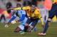 Catalonia's Bojan Krkic celebrates scoring against Cape Verde during a friendly soccer match at Lluis Companys Stadium in Barcelona, Spain, Monday, Dec. 30, 2013. (AP Photo/Manu Fernandez)