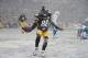 Pittsburgh Steelers wide receiver Emmanuel Sanders (88) celebrates after scoring a touchdown against the Miami Dolphins during the first quarter of an NFL football game on Sunday, Dec. 8, 2013, in Pittsburgh. Miami won 34-28. (AP Photo/Don Wright)