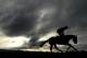 CHELTENHAM, ENGLAND - MARCH 10: Horse and rider on the gallops at Cheltenham racecourse on March 10 2014 in Cheltenham, England. (Photo by Alan Crowhurst/Getty Images)