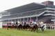 Cheltenham
