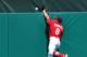 Mar 10, 2014; Jupiter, FL, USA; St. Louis Cardinals center fielder Peter Bourjos (8) makes an leaping attempt on a home run hit by Detroit Tigers third baseman Nick Castellanos (not pictured) at Roger Dean Stadium. The Tigers defeated the Cardinals 17-5. Mandatory Credit: Scott Rovak-USA TODAY Sports