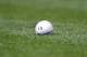 HOUSTON,TX - APRIL 20: A baseball with the Astros 50th Anniversary logo sits in the grass during the game between the Los Angeles Dodgers and the Houston Astros on April 20, 2012 at Minute Maid Park in Houston, Texas.(Photo by Bob Levey/Getty Images)