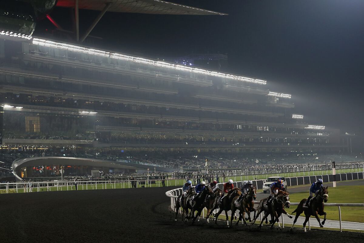 Dubai World Cup 2014 Results Winners, Top Payouts and Order of Finish
