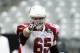 Arizona Cardinals tackle Eric Winston (65) during training camp on Friday, Aug. 2, 2013 in Glendale, Ariz. (AP Photo/Rick Scuteri)