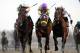 In this photo provided by the New York Racing Association, Samraat, left, with Jose L. Ortiz aboard, captures the Gotham Stakes horse race at Aqueduct Racetrack in New York, Saturday, March 1, 2014. (AP Photo/New York Racing Association, Adam Coglianese)