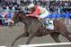 In this photo provided by the New York Racing Association, Wicked Strong, with Rajiv Maragh aboard, captures The Wood Memorial Stakes horse race at Aqueduct Race Track in New York, Saturday, April 5, 2014. (AP Photo/New York Racing Association, Chelsea Durand)