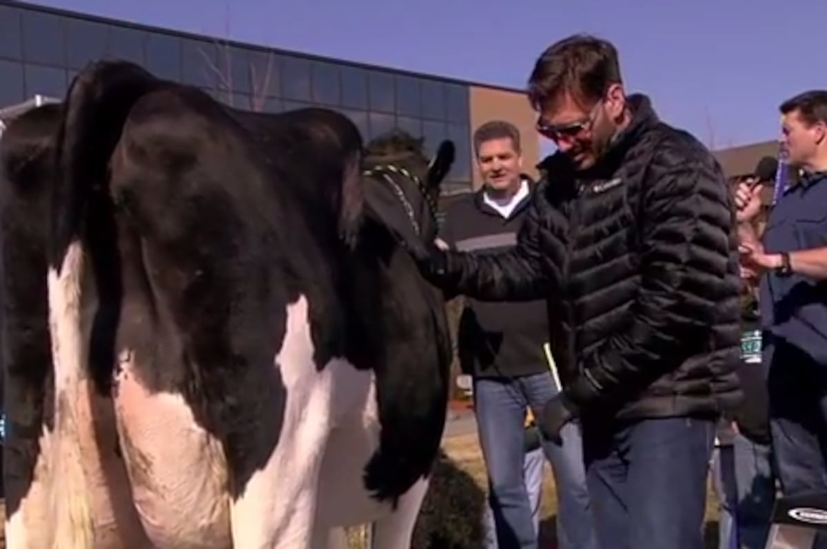 ESPN's Mike Greenberg Loses Bet, Gets Nasty Surprise While Milking Cow