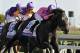 Jockey Corey Nakatani, right, rides Dance With Fate to victory over Medal Count, left, ridden by jockey Robby Albarado, in the Blue Grass Stakes horse race at Keeneland in Lexington, Ky., Saturday, April 12, 2014. (AP Photo/Garry Jones)