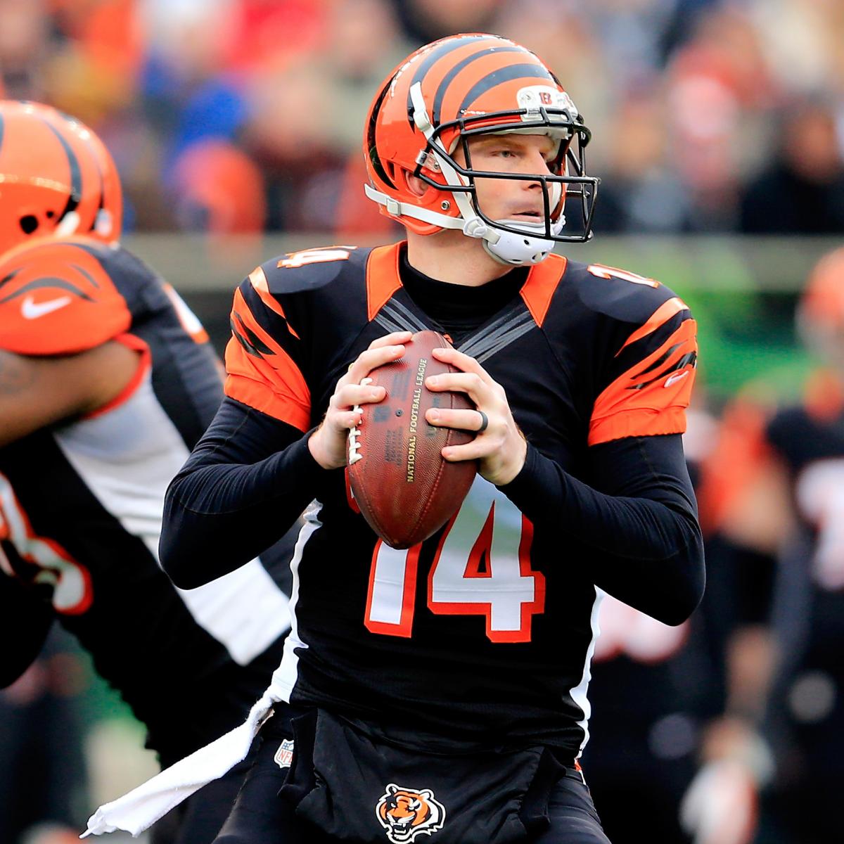 Cincinnati Bengals Schedule 2014 WinLoss Predictions for Every Game
