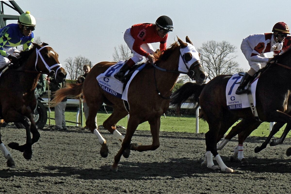 Coolmore Lexington Stakes 2014 TV Schedule, Post Positions, Picks
