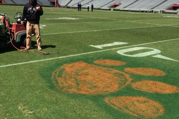 Clemson Fan Paints Tiger Paw On In State Rival South