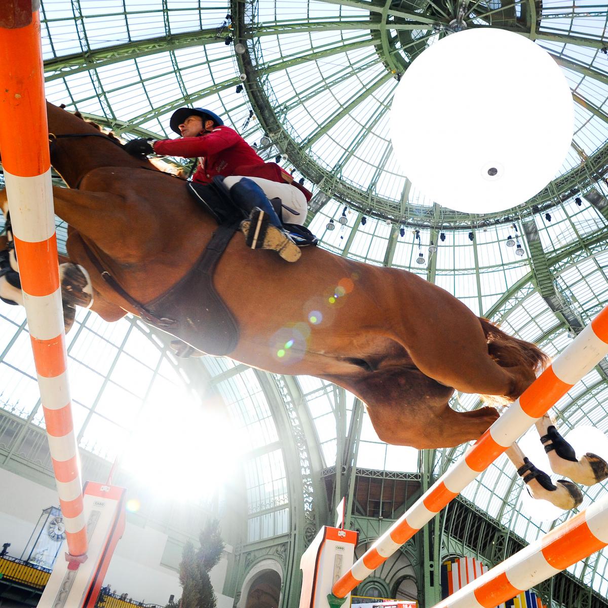 Show Jumping World Cup Final 2014 Daily Results and Recap News
