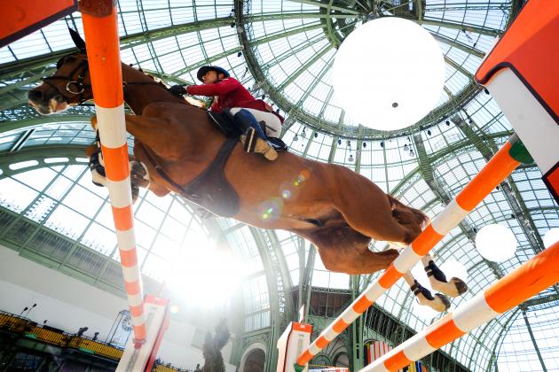 PARIS, FRANCE - MARCH 16: Pius Schwizer of Switzerland on Quidam Du Vivier in action during the Prix de la Ville de Paris during the third day of the Grand Prix Hermes of Paris at Grand Palais on March 16, 2014 in Paris, France. (Photo by David Ramos/Getty Images)