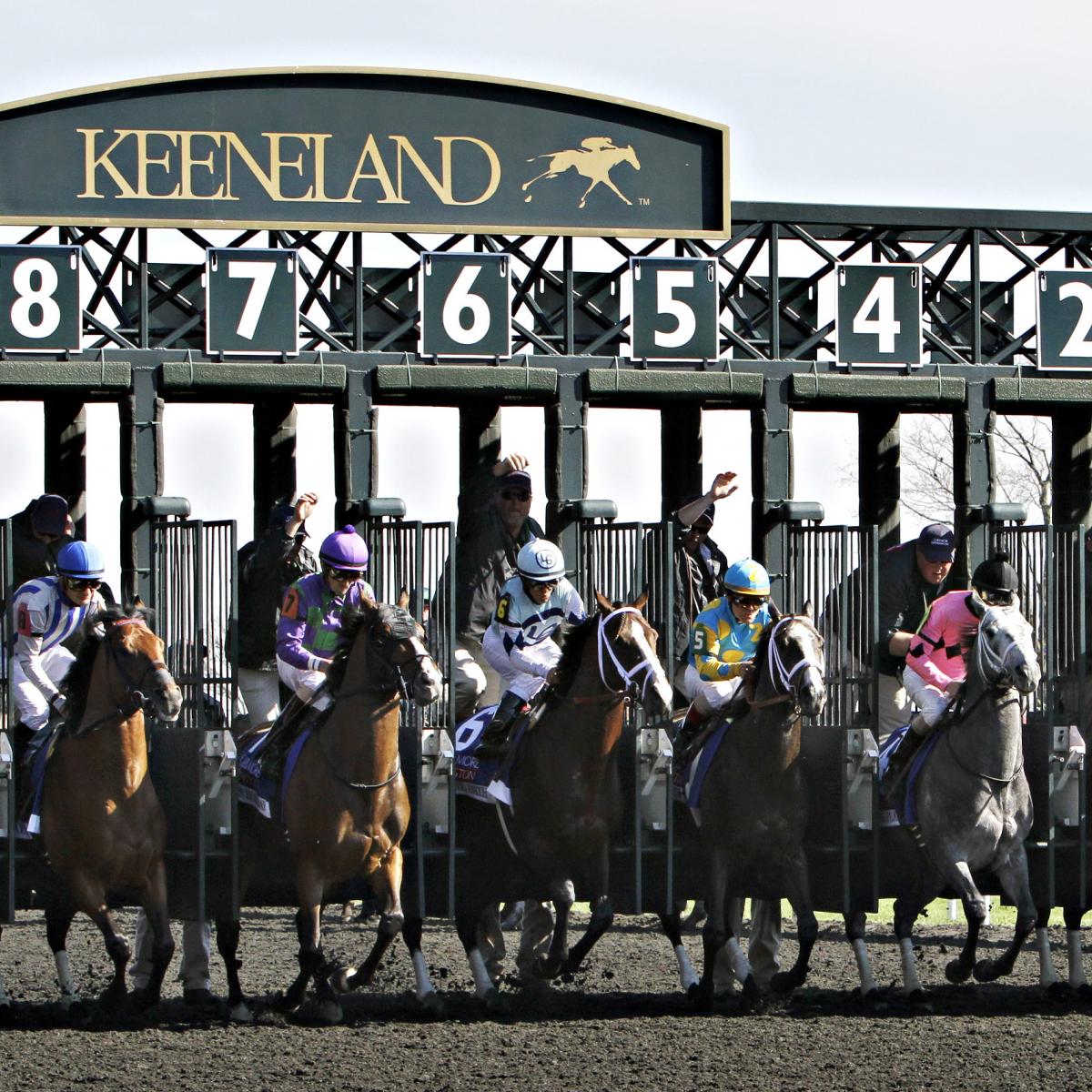 Coolmore Lexington Stakes 2014 Results Winner, Payouts and Order of