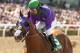 In a photo provided by Benoit Photo, California Chrome and jockey Victor Espinoza win the Santa Anita Derby horse race Saturday, April 5, 2014, at Santa Anita in Arcadia, Calif. (AP Photo/Benoit Photo)
