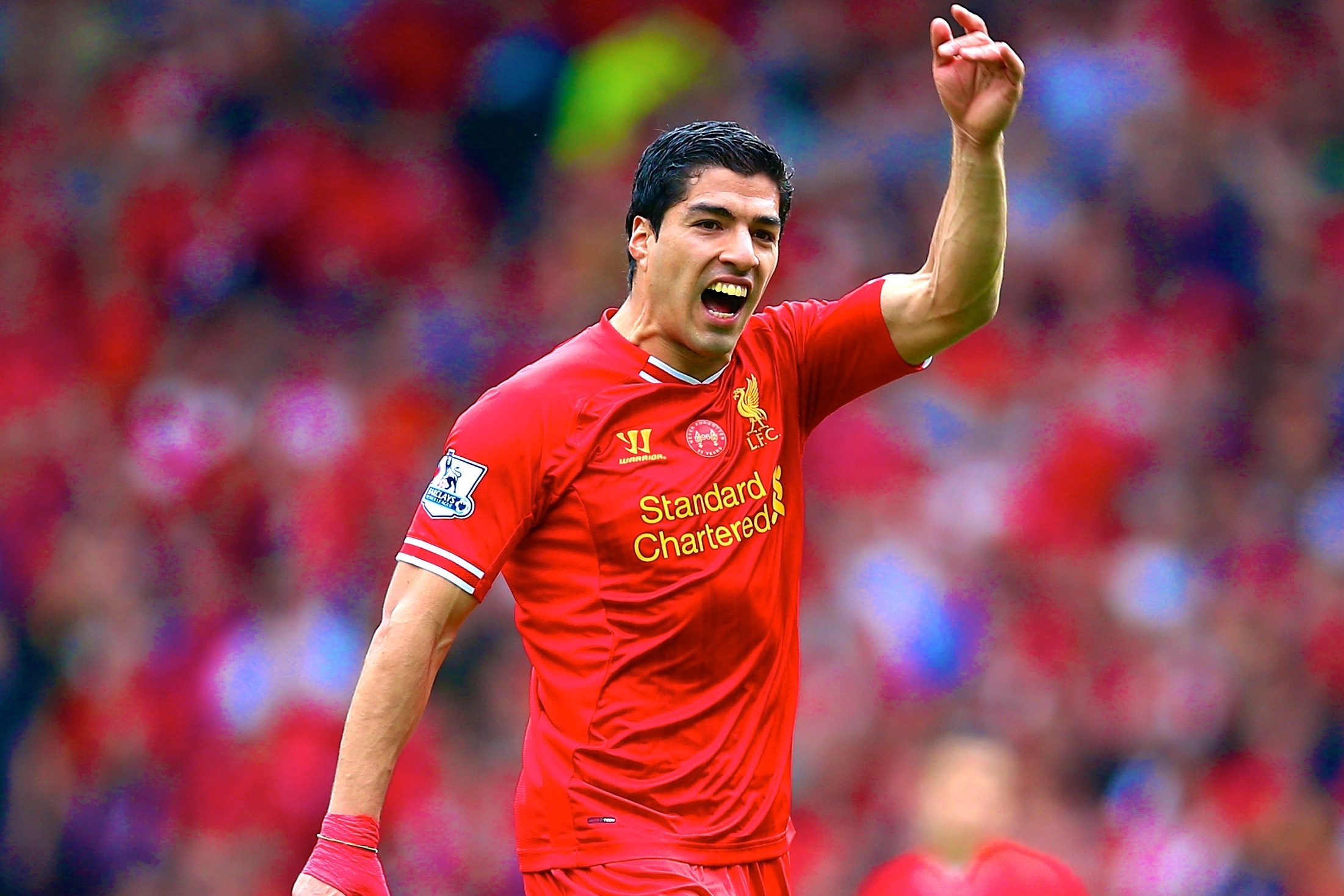 Liverpool: Why Luis Suarez Should Win PFA Player of the Year Award, News,  Scores, Highlights, Stats, and Rumors