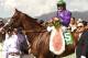 In a photo provided by Benoit Photo, California Chrome and jockey Victor Espinoza pose in the winner's circle after victory in the Santa Anita Derby horse race Saturday, April 5, 2014, at Santa Anita in Arcadia, Calif. (AP Photo/Benoit Photo)