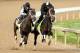 LOUISVILLE, KY - APRIL 27: Intense Holiday, riden by John Velazquez, and We Miss Artie, riden Nick Bush, work out together during the morning exercise session in preparation for the140th Kentucky Derby at Churchill Downs on April 27, 2014 in Louisville, Kentucky. (Photo by Matthew Stockman/Getty Images)