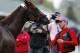 Exercise rider William Delgado holds Kentucky Derby hopeful California Chrome after a morning workout at Churchill Downs Tuesday, April 29, 2014, in Louisville, Ky. (AP Photo/Garry Jones)