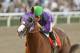 In a photo provided by Benoit Photo, California Chrome and jockey Victor Espinoza win the $250,000 California Cup Derby horse race, Saturday, Jan. 25, 2014, at Santa Anita in Arcadia, Calif. (AP Photo/Benoit Photo)