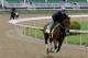 Exercise rider Faustino Aguilar takes Kentucky Derby hopeful Medal Count for a morning workout at Churchill Downs Wednesday, April 30, 2014, in Louisville, Ky. (AP Photo/Garry Jones)
