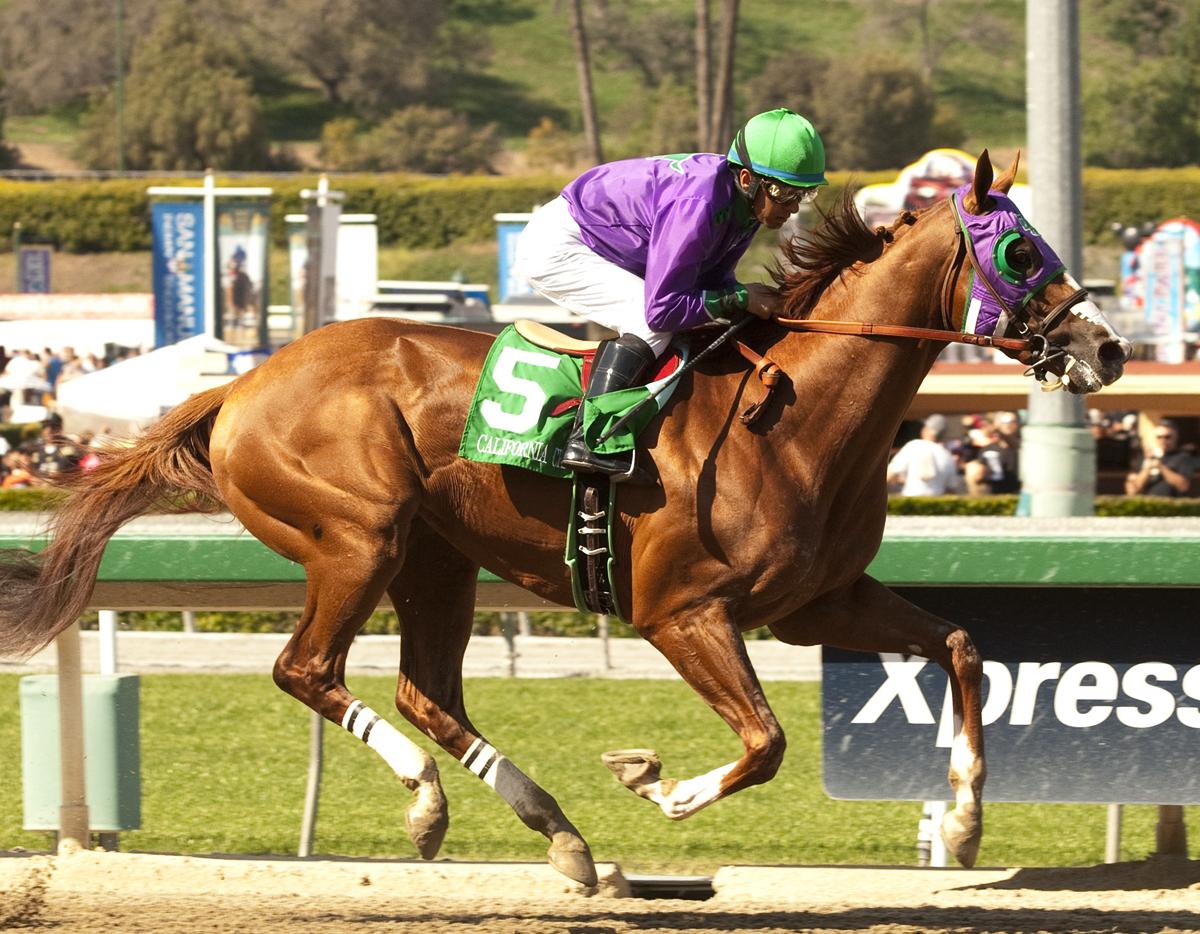 Kentucky Derby Contenders 2014 Odds, Jockey and Pedigree Info for Top