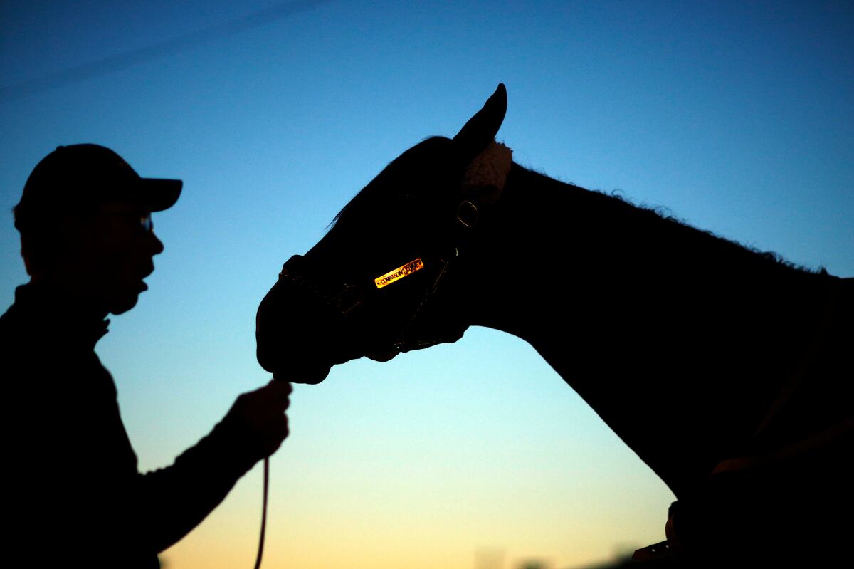 Kentucky Derby 2014 Post Time Race Schedule, Live Stream and NBC TV