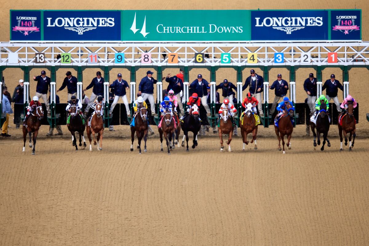 Kentucky Derby Field 2014 Final Vegas Odds and Projections for Entry