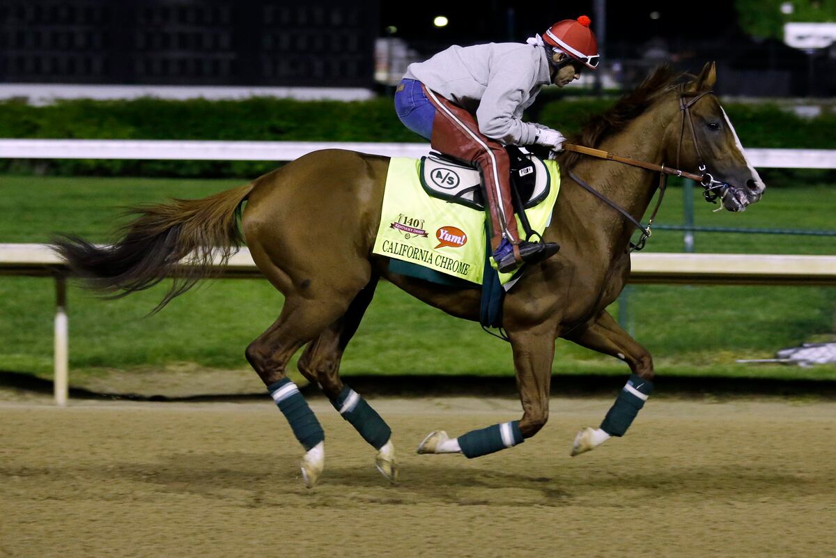 Kentucky Derby Odds 2014 Jockeys to Trust, Fastest Horses and More